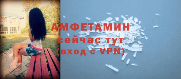 дурь Ельня