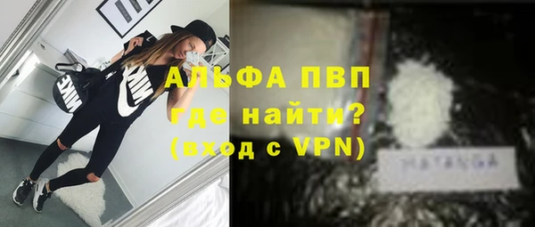 дурь Ельня