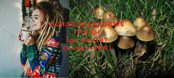 ГАЛЛЮЦИНОГЕННЫЕ ГРИБЫ Елизово