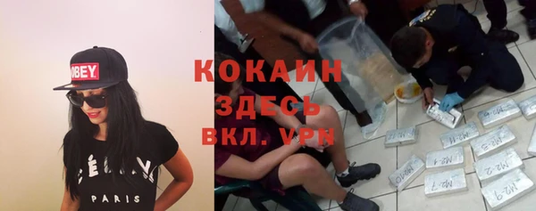 дурь Ельня