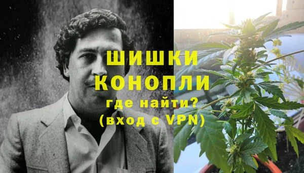 ГАЛЛЮЦИНОГЕННЫЕ ГРИБЫ Елизово