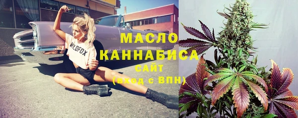 дурь Ельня