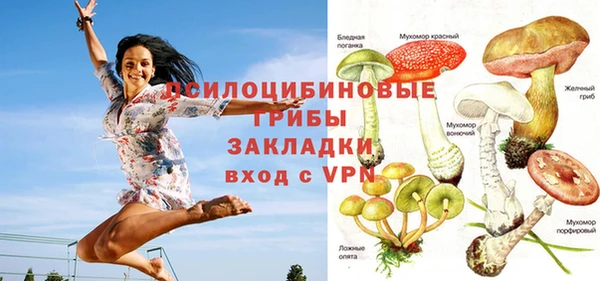 ГАЛЛЮЦИНОГЕННЫЕ ГРИБЫ Елабуга