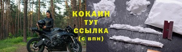 ГАЛЛЮЦИНОГЕННЫЕ ГРИБЫ Елизово