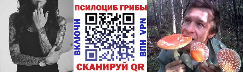 Псилоцибиновые грибы ЛСД  Салехард 